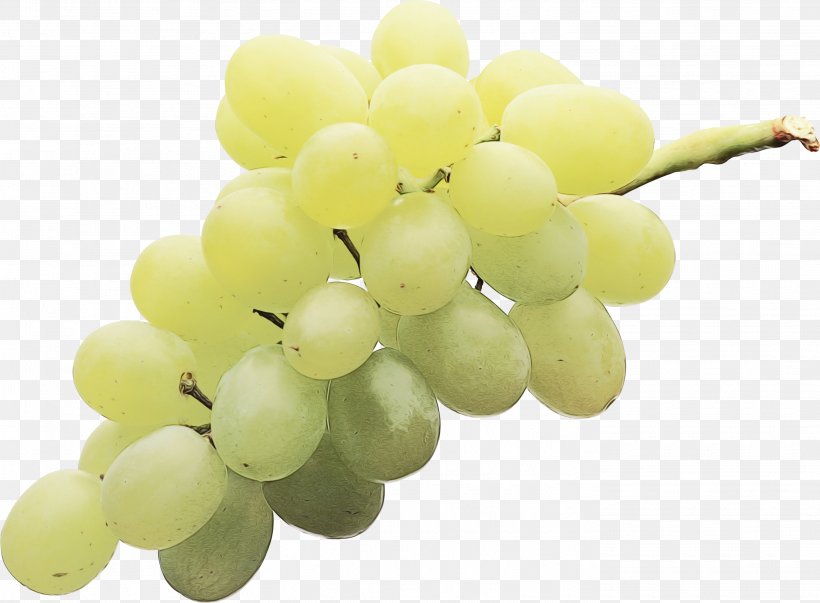 Grapes Cartoon, PNG, 2804x2063px, Sultana, Berries, Common Grape Vine, Flame Seedless, Flower Download Free