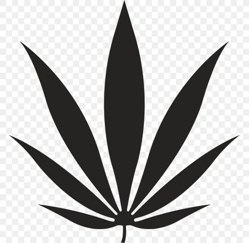 Leaf Paper Cannabis Sticker Hemp, PNG, 800x800px, Leaf, Black And White, Cannabis, Color, Drawing Download Free