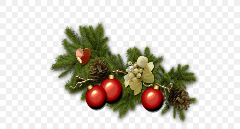 Old New Year Christmas Holiday, PNG, 600x440px, 2018, Old New Year, Birthday, Branch, Christmas Download Free