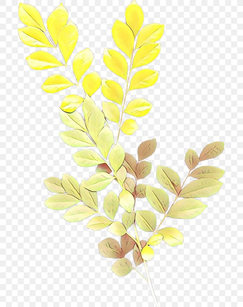 Palm Tree Drawing, PNG, 700x1037px, Palm Trees, Branch, Drawing, Drumstick Tree, Flower Download Free