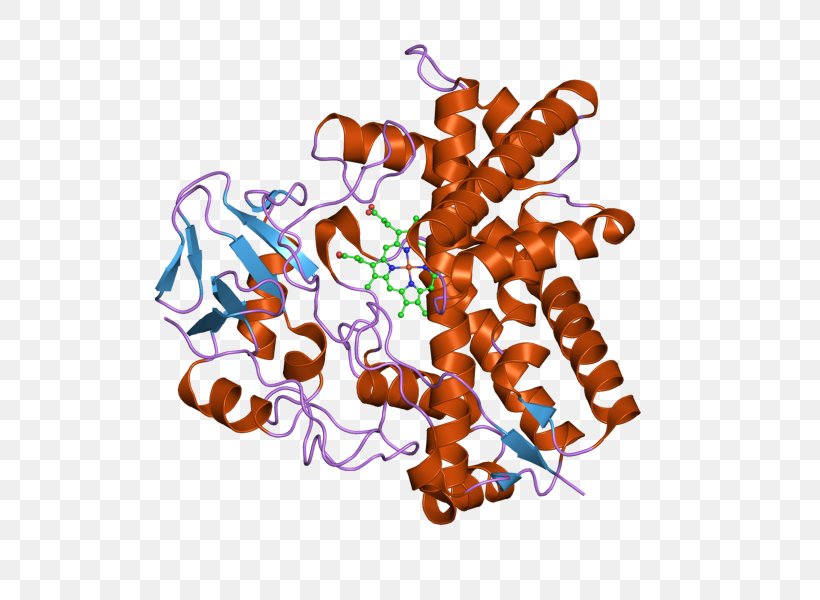 Protein Tyrosine Phosphatase, Non-receptor Type 7 PTPN7 PTPN22 Keyword Tool, PNG, 800x600px, Watercolor, Cartoon, Flower, Frame, Heart Download Free