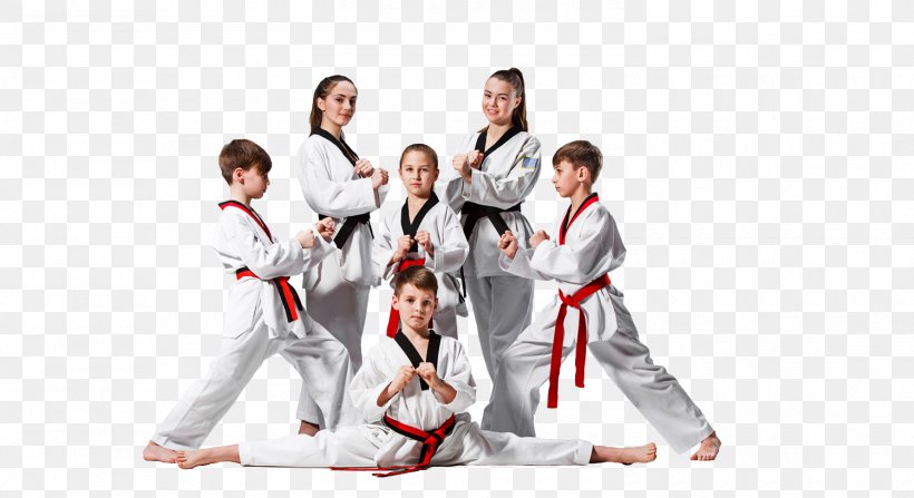 Taekwondo Martial Arts Karate Sparring Black Belt, PNG, 1500x818px, Watercolor, Cartoon, Flower, Frame, Heart Download Free