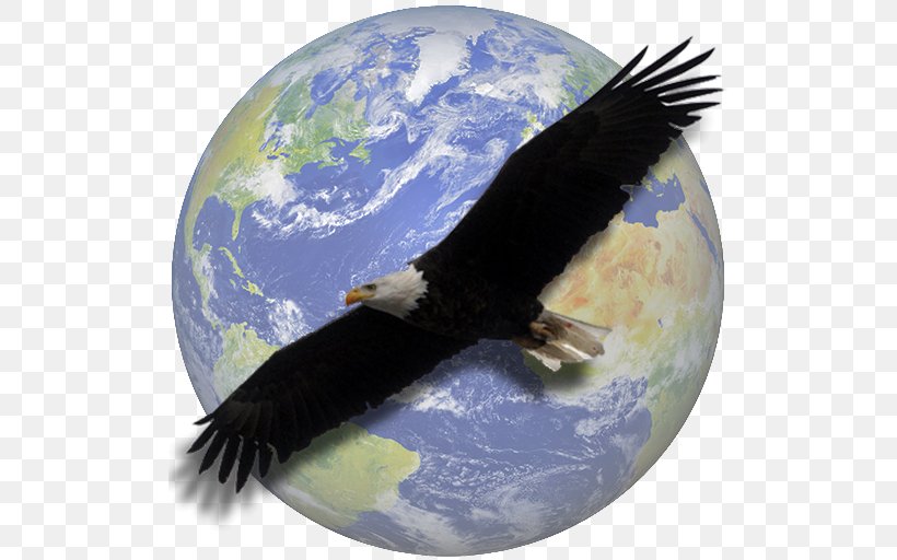 World Religion Polytheism Hinduism Islam, PNG, 512x512px, World, Accipitriformes, Bald Eagle, Beak, Bird Download Free