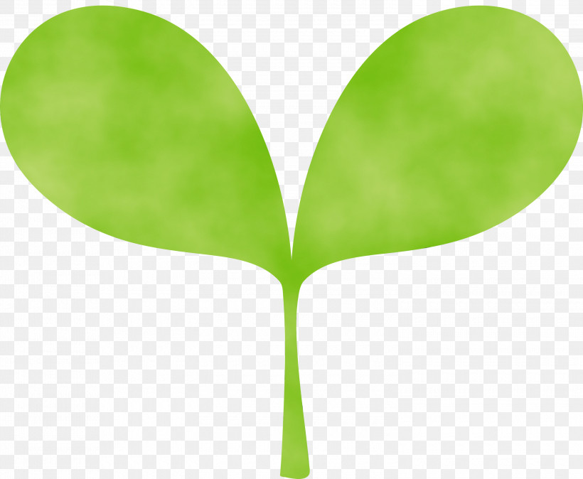 Green Leaf Plant Tree Plant Stem, PNG, 3000x2468px, Sprout, Bud, Flower, Flush, Green Download Free