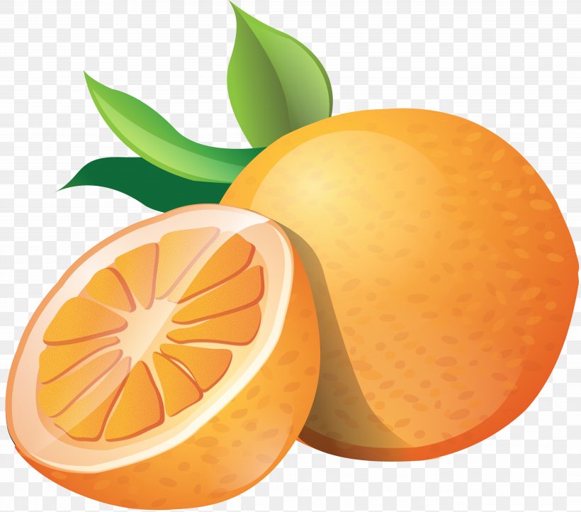 Orange Clip Art, PNG, 5052x4453px, Orange, Bitter Orange, Chenpi, Citric Acid, Citrus Download Free