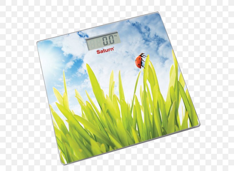 Rozetka Measuring Scales Price Home Appliance Saturn, PNG, 600x600px, Watercolor, Cartoon, Flower, Frame, Heart Download Free