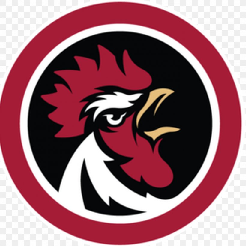 University Of South Carolina South Carolina Gamecocks Football Sydney Roosters American Football NCAA Southeastern Conference Football, PNG, 1400x1400px, University Of South Carolina, American Football, Bird, Chicken, Livestock Download Free