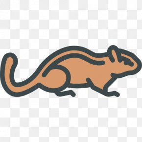 Squirrel - Chipmunk Squirrel Leopard Cat PNG