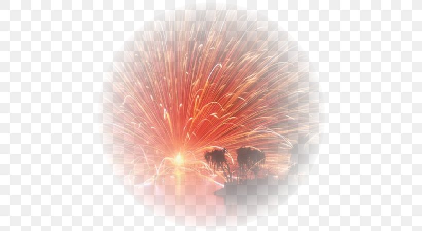 Desktop Wallpaper Fireworks Clip Art, PNG, 600x450px, Fireworks, Artificier, Blog, Close Up, Computer Download Free