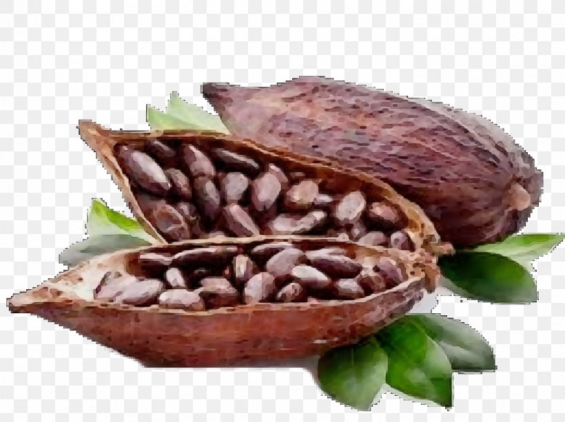 Food Cocoa Bean Cuisine Ingredient Bean, PNG, 1400x1048px, Watercolor, Bean, Cocoa Bean, Cuisine, Dish Download Free