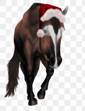 Mustang - Mane Mustang Stallion Pony Mare PNG