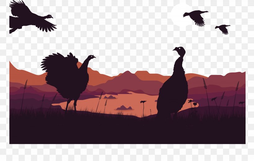 Angora Goat Turkey Duck Goose, PNG, 6273x3984px, Angora Goat, Angora Wool, Beak, Bird, Domesticated Turkey Download Free