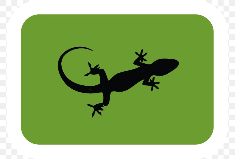 Common Leopard Gecko Lizard Reptile Common Iguanas, PNG, 773x555px, Gecko, Amphibian, Common Iguanas, Common Leopard Gecko, Fauna Download Free