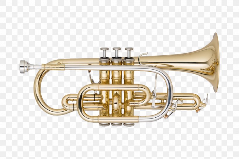 Cornet Brass Instruments Trombone Trumpet French Horns, PNG, 1120x746px, Watercolor, Cartoon, Flower, Frame, Heart Download Free