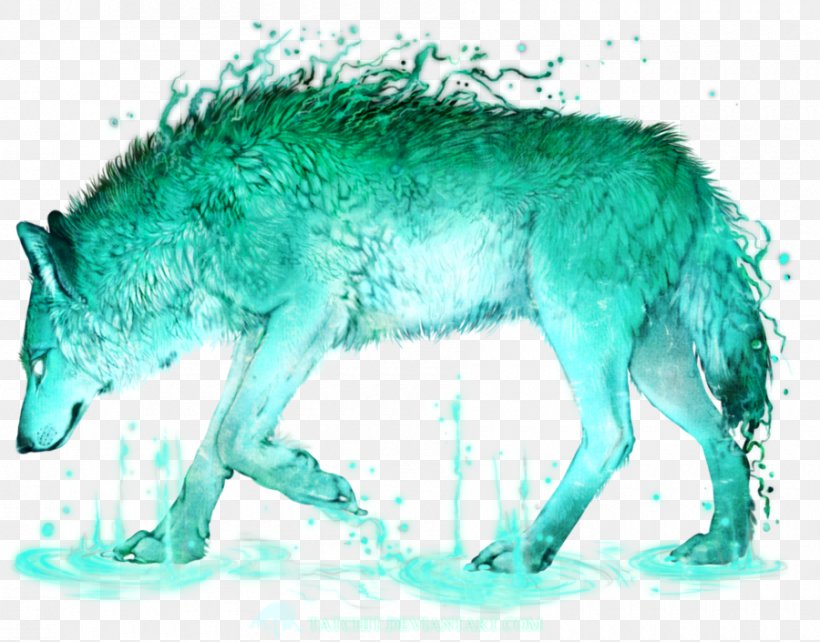 Coyote Gray Wolf Turquoise Snout Fauna, PNG, 900x705px, Coyote, Carnivoran, Dog Like Mammal, Fauna, Gray Wolf Download Free