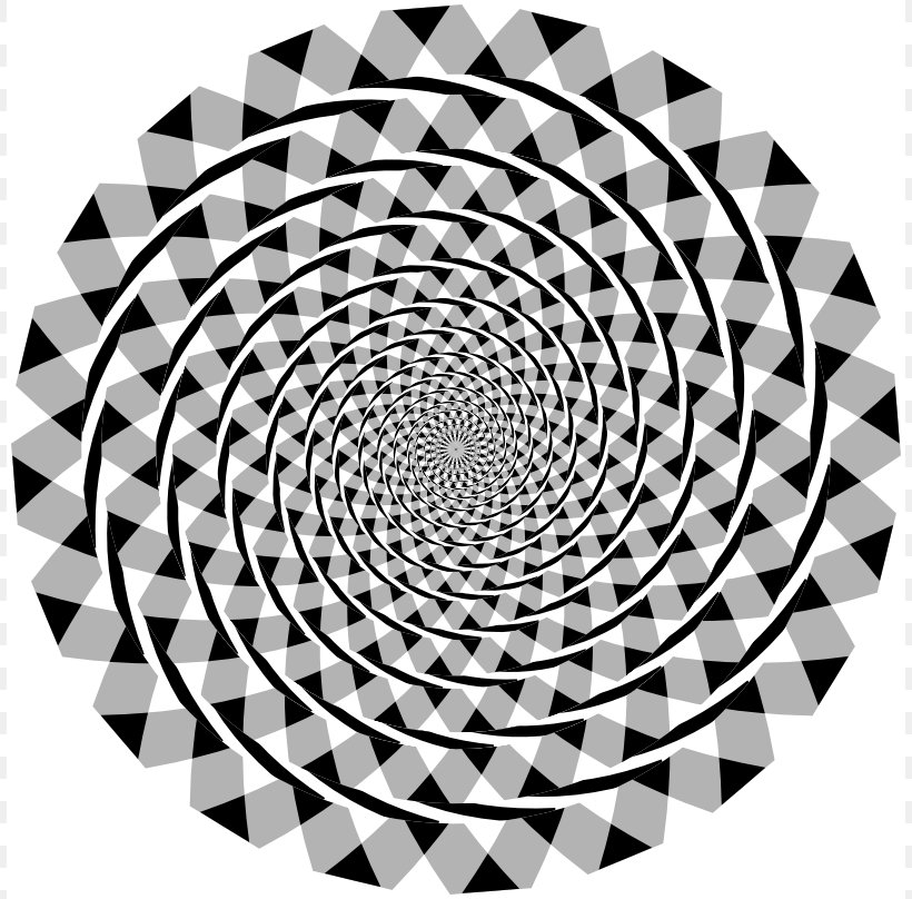 Fraser Spiral Illusion Optical Illusion Circle, PNG, 808x808px, Fraser Spiral Illusion, Arc, Barberpole Illusion, Black And White, Concentric Objects Download Free