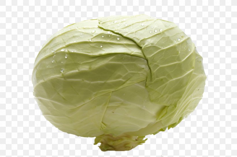 Savoy Cabbage Nimono Vegetable Food, PNG, 1200x798px, Savoy Cabbage, Cabbage, Collard Greens, Cooking, Eating Download Free