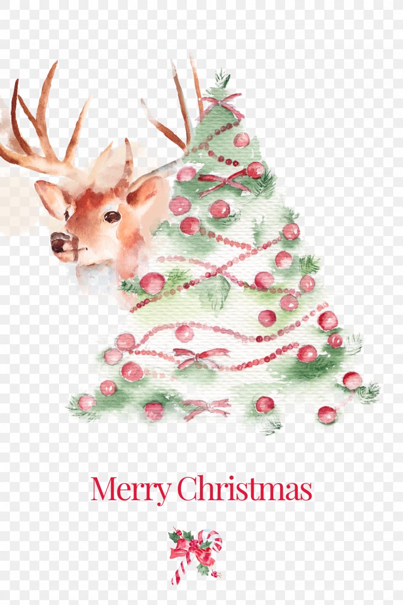 Christmas Tree, PNG, 1181x1772px, Christmas, Child, Christmas Decoration, Christmas Gift, Christmas Ornament Download Free