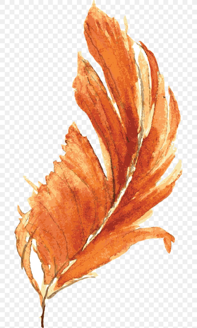 Orange Watercolor Painting Drawing, PNG, 700x1366px, Orange, Color, Drawing, Feather, Leaf Download Free