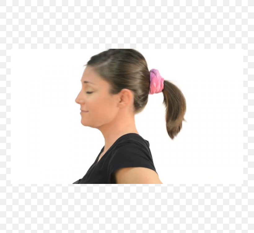 Ponytail Bun Long Hair Brown Hair, PNG, 750x750px, Ponytail, Arm, Audio, Audio Equipment, Brown Download Free