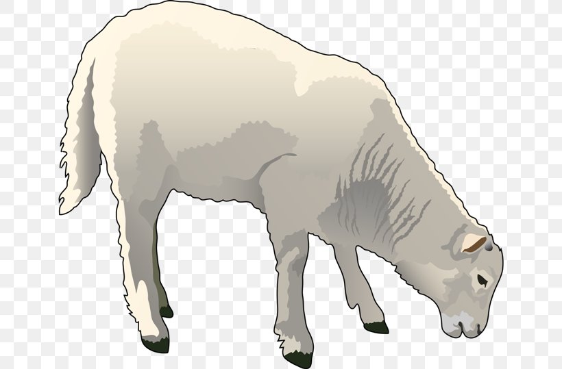 Sheep–goat Hybrid Sheep–goat Hybrid Clip Art, PNG, 650x539px, Sheep, Animal, Animal Figure, Bear, Blog Download Free