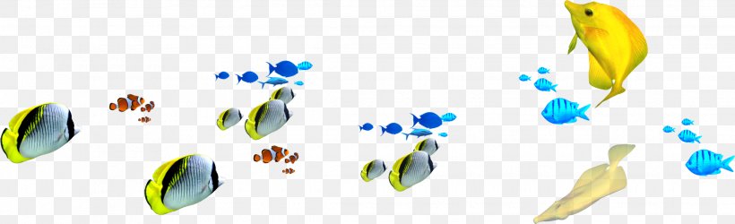 Fish Euclidean Vector Icon, PNG, 2235x683px, Fish, Beak, Gratis, Logo, Maritime Transport Download Free