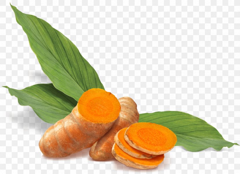 Plant Leaf, PNG, 875x635px, Turmeric, Curcuma, Curcumin, Curry, Food Download Free