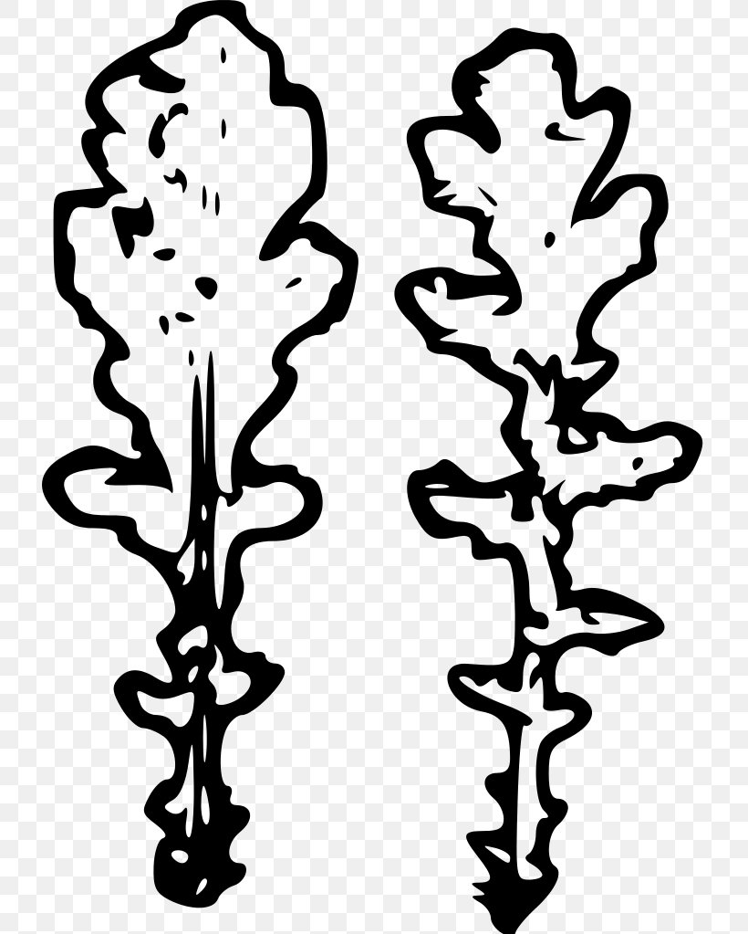 Plant Stem Leaf Flower Line Clip Art, PNG, 727x1023px, Plant Stem, Black And White, Branch, Branching, Flower Download Free