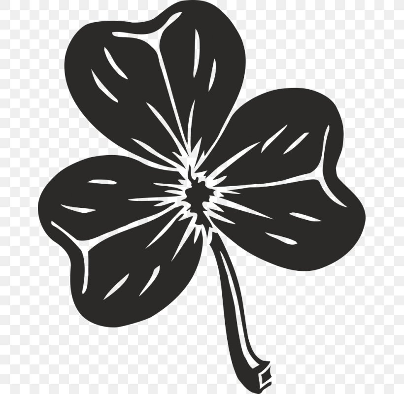 Republic Of Ireland Shamrock Clip Art Clover Saint Patrick's Day, PNG, 800x800px, Republic Of Ireland, Black And White, Clover, Drawing, Flora Download Free