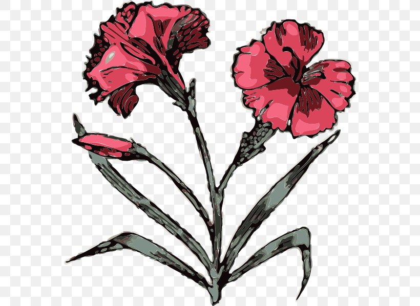 Carnation Free Content Clip Art, PNG, 570x598px, Carnation, Art, Cut Flowers, Flora, Floral Design Download Free