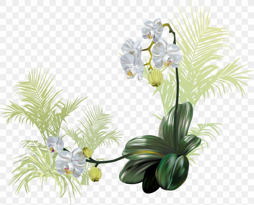 Flower Orchids, PNG, 4192x3399px, Flower, Artificial Flower, Computer Graphics, Cut Flowers, Designer Download Free