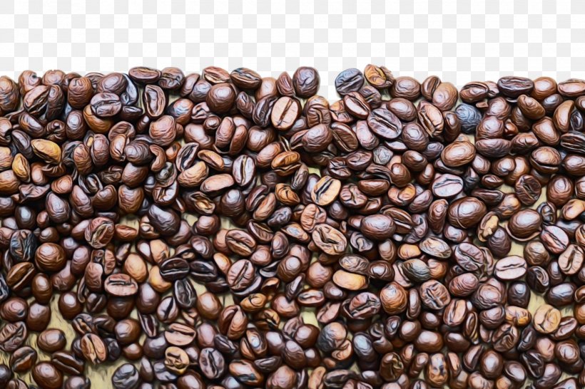 Kapeng Barako Jamaican Blue Mountain Coffee Java Coffee Brown Bean, PNG, 1880x1254px, Watercolor, Bean, Brown, Caffeine, Food Download Free