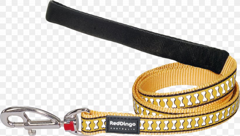Leash Dog Strap Belt Material, PNG, 3000x1699px, Leash, Belt, Dog, Fashion Accessory, Material Download Free