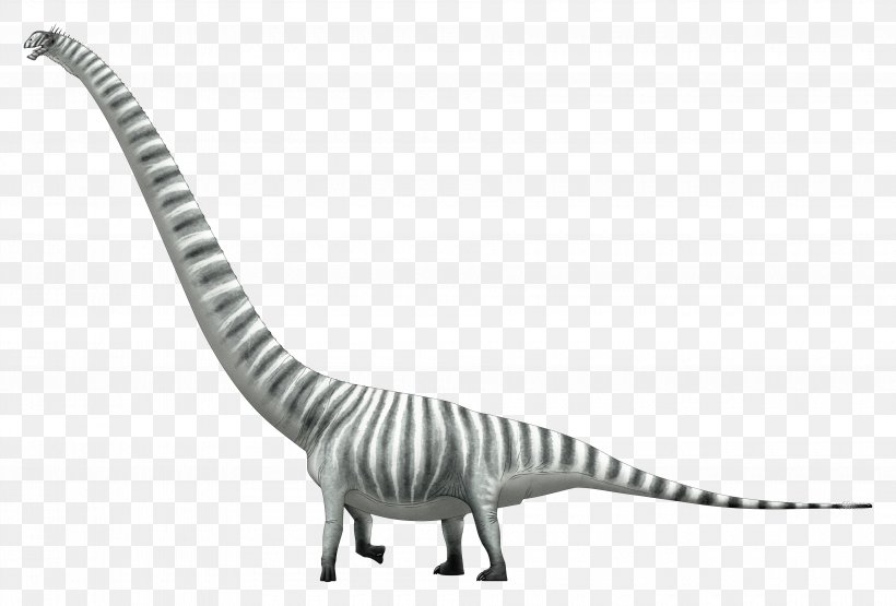 Mamenchisaurus Dinosaur Lusotitan Sauropoda Brachiosaurus, PNG, 3780x2562px, Mamenchisaurus, Animal, Animal Figure, Black And White, Brachiosaurus Download Free
