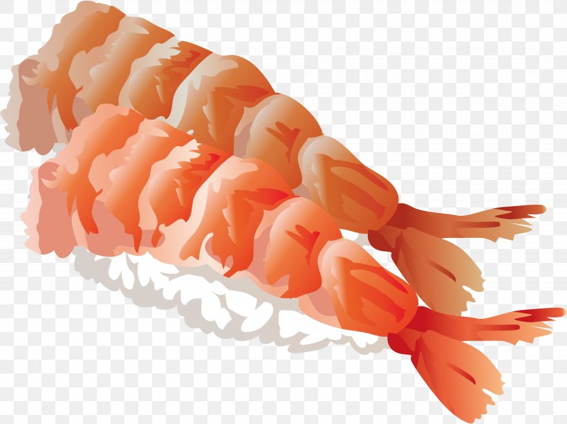 Sushi Shrimp And Prawn Nigirizushi Illustration, PNG, 3840x2874px, Sushi, Caridean Shrimp, Crab Stick, Cuisine, Dish Download Free