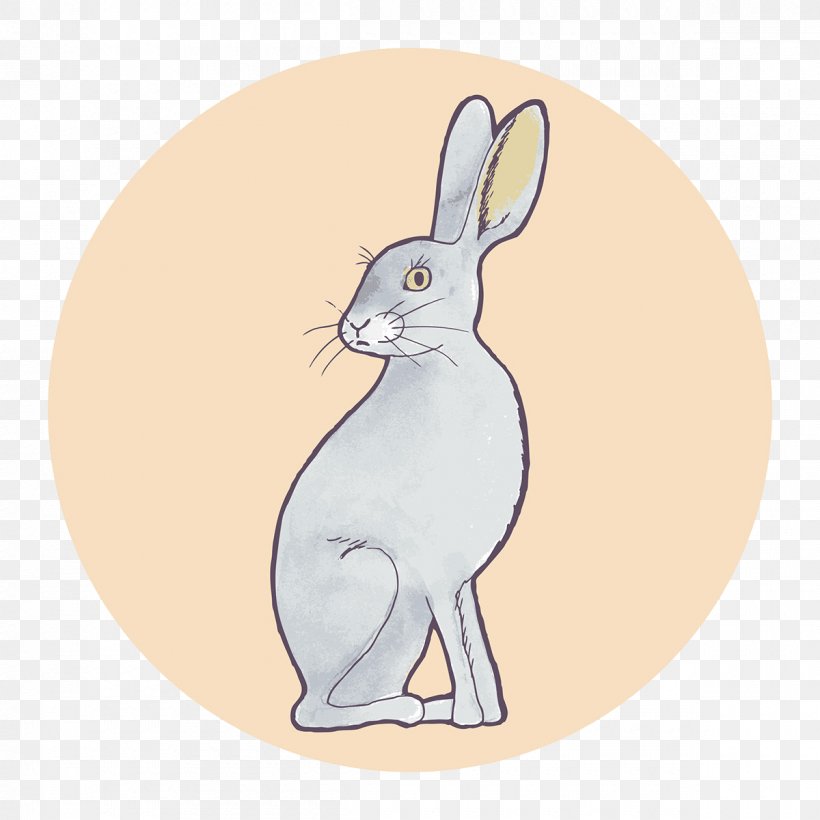 Domestic Rabbit Hare Whiskers Illustration, PNG, 1200x1200px, Domestic Rabbit, Cartoon, Fauna, Hare, Mammal Download Free