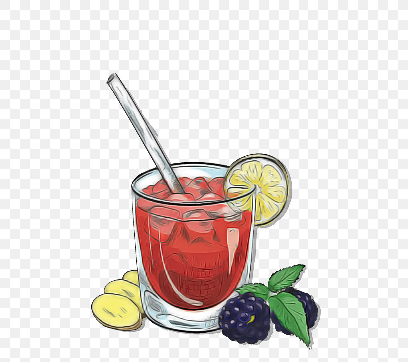 Drink Tinto De Verano Juice Food Lime, PNG, 564x728px, Drink, Citrus, Cocktail, Cocktail Garnish, Daiquiri Download Free