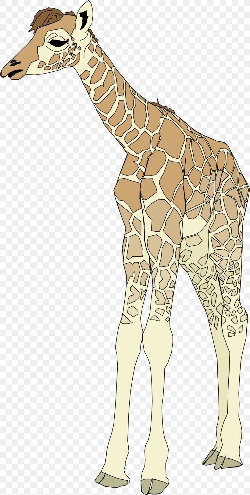 Giraffe Clip Art, PNG, 1213x2400px, Giraffe, Deer, Drawing, Fauna, Giraffidae Download Free