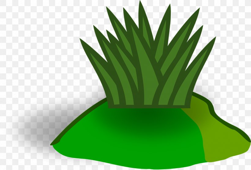 Grassland Meadow Clip Art, PNG, 1280x868px, Grassland, Flowerpot, Grass, Grass Family, Green Download Free