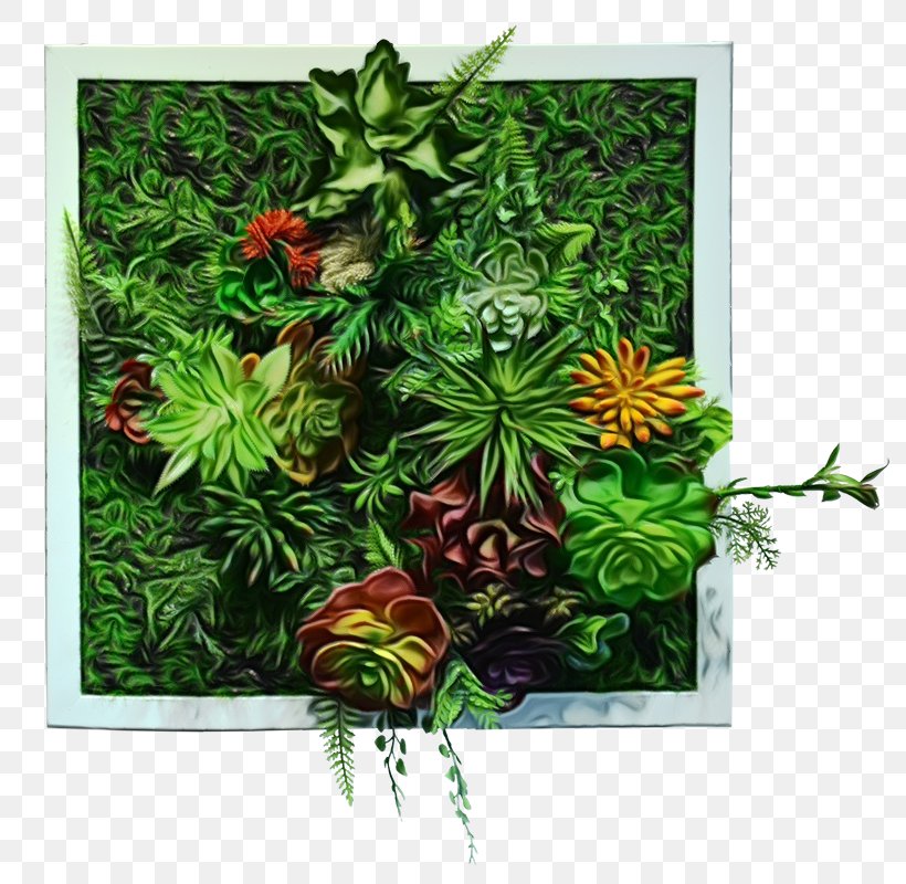 Modern Background Frame, PNG, 800x800px, Tree, Flower, Fritillaria, Jungle, Leaf Download Free