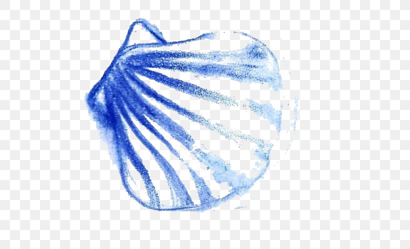 Seashell Euclidean Vector Sea Snail Painting, PNG, 534x498px, Seashell, Blue, Electric Blue, Mollusc Shell, Painting Download Free