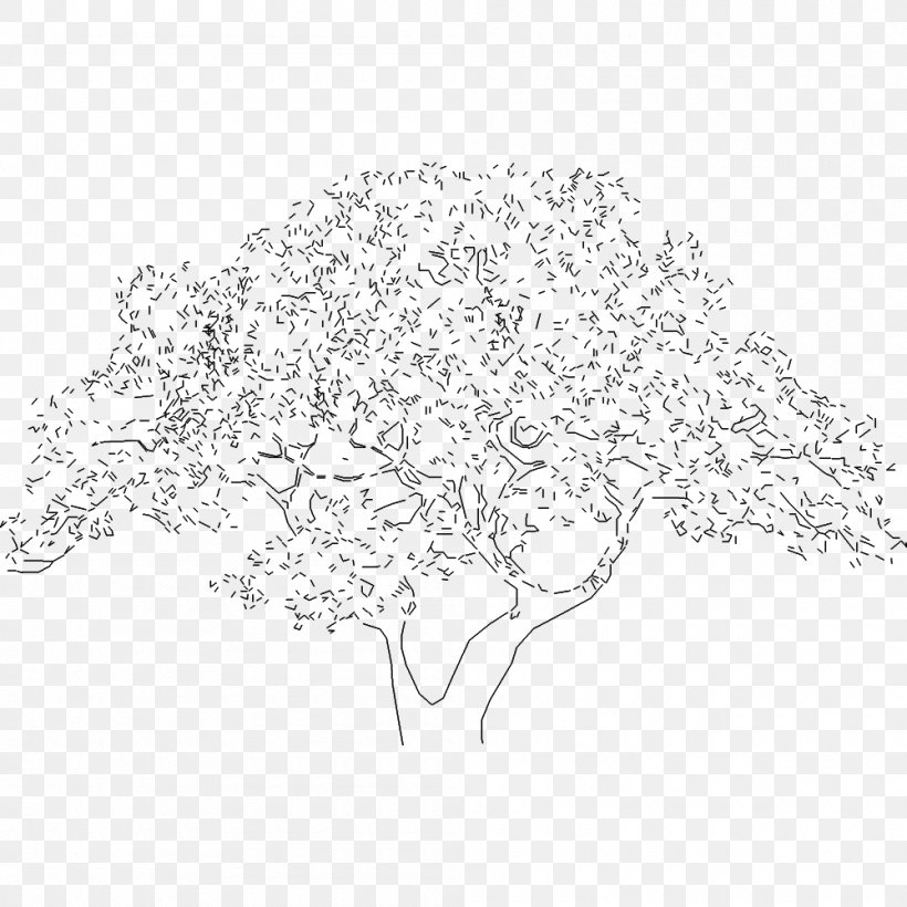 Twig Line Art Point Flowering Plant, PNG, 1000x1000px, Twig, Area, Black And White, Branch, Drawing Download Free