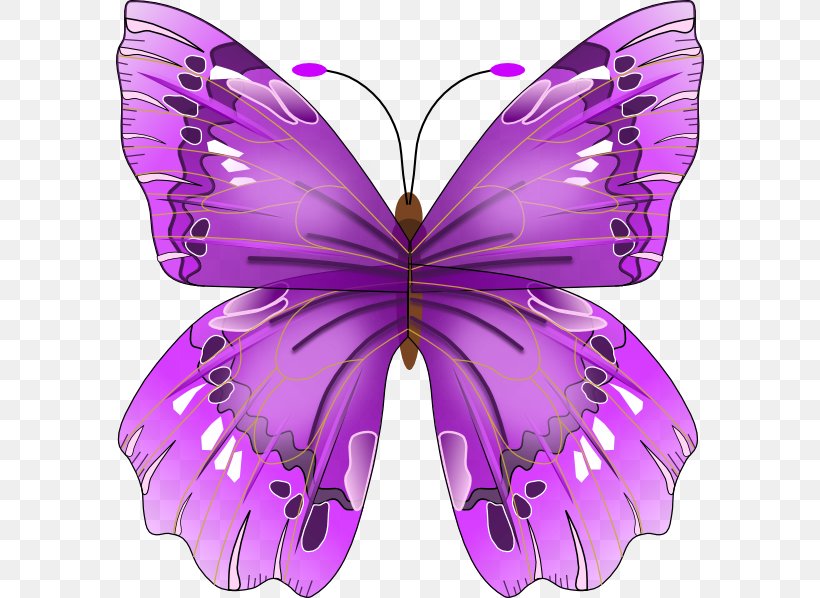 Butterfly Insect Craft Magnets Clip Art, PNG, 588x598px, Butterfly, Arthropod, Brush Footed Butterfly, Bumper Sticker, Butterflies And Moths Download Free
