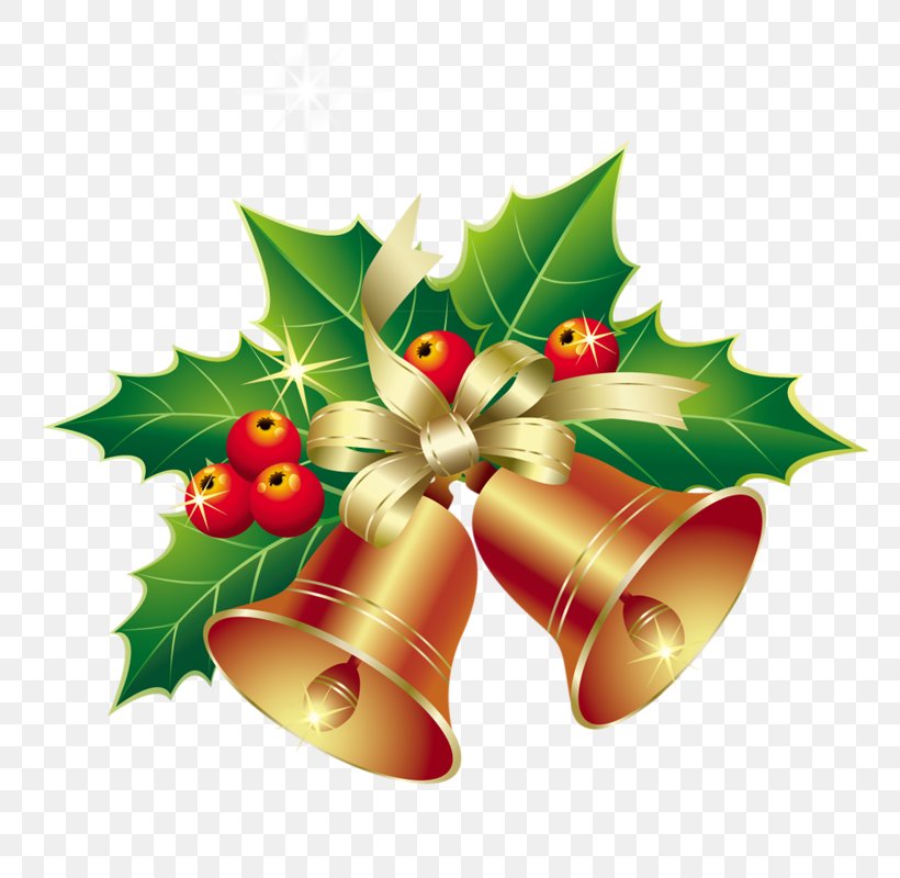 Christmas Decoration Christmas Ornament Clip Art, PNG, 800x800px, Christmas Decoration, Aquifoliaceae, Aquifoliales, Bell, Christmas Download Free
