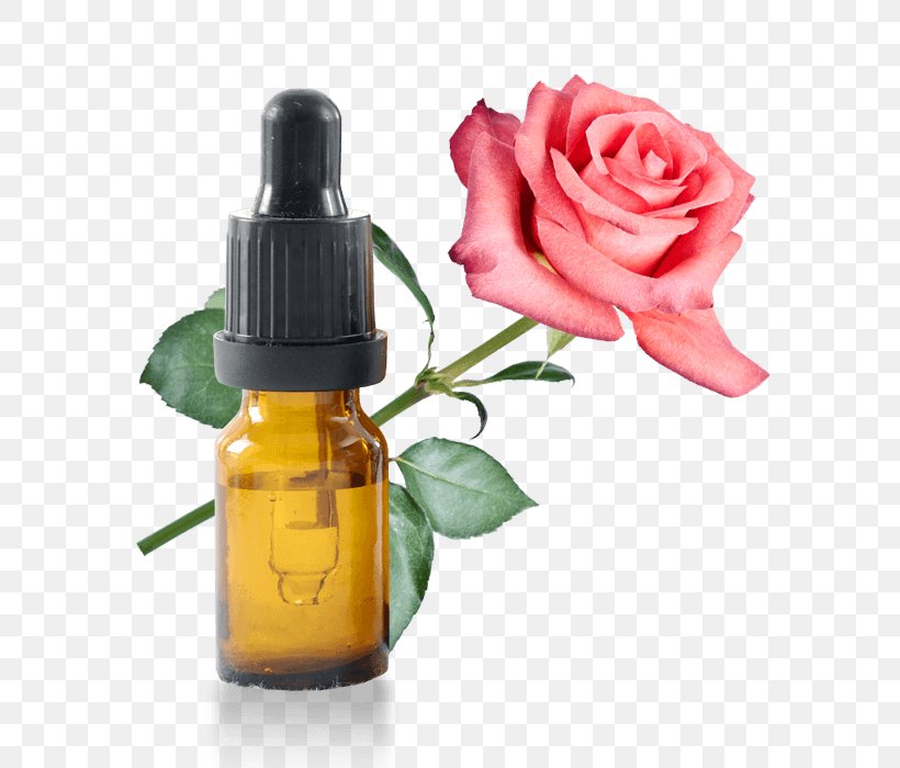 Lotion Cosmetics Herbal Distillate Rose Water Garden Roses, PNG, 700x700px, Lotion, Aromatherapy, Bottle, Cosmetics, Damask Rose Download Free