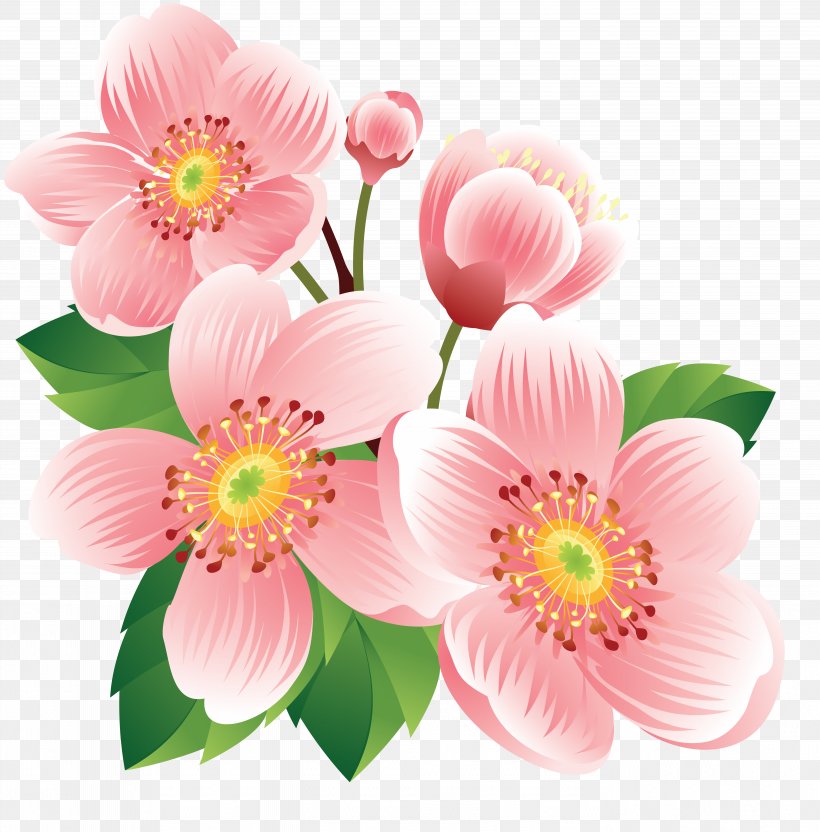 Royalty-free Stock Photography Clip Art, PNG, 5536x5622px, Royaltyfree, Annual Plant, Art, Blossom, Cut Flowers Download Free
