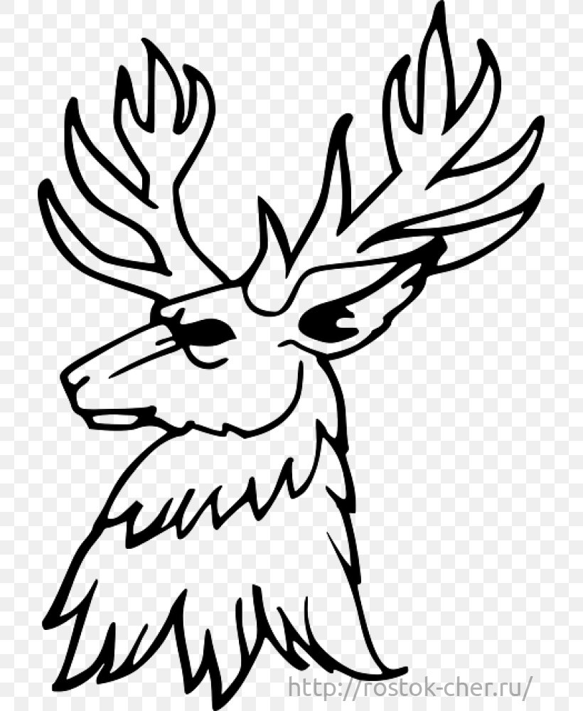 Deer Drawing Antler Clip Art, PNG, 713x1000px, Deer, Antler, Art, Artwork, Beak Download Free