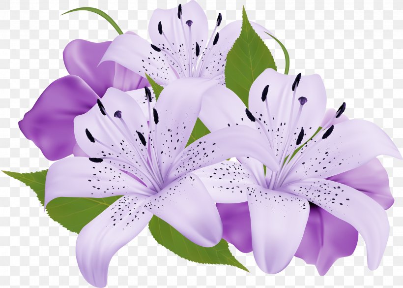 Flower Bouquet Purple Clip Art, PNG, 2500x1786px, Flower, Color, Floristry, Flower Bouquet, Flowering Plant Download Free