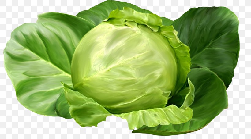 Brussels Sprout Shchi Collard Greens Cabbage Romaine Lettuce, PNG, 800x456px, Brussels Sprout, Cabbage, Collard Greens, Cruciferous Vegetables, Diary Download Free
