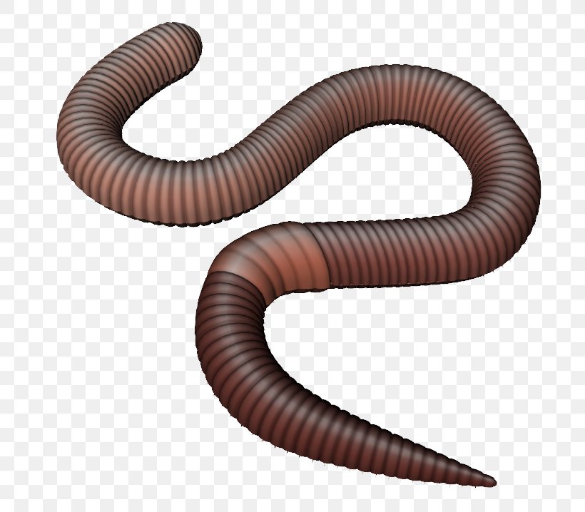 Earthworm Clip Art, PNG, 820x718px, Worm, Animal, Annelid, Can Stock Photo, Earthworm Download Free